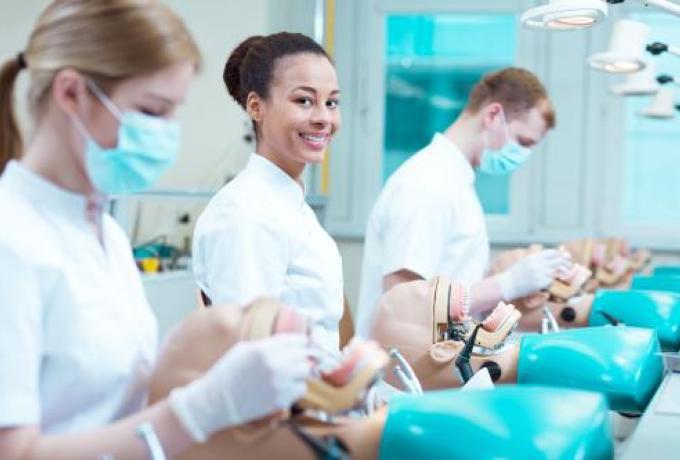 Erfolgreich zum Studienplatz – Zahnmedizin